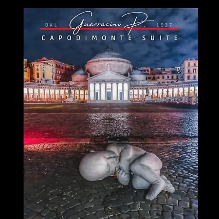 Apartment Guarracino P. Capodimonte Naples